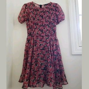 Zara Trafaluc dress